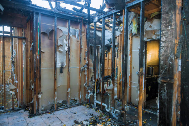 Professional Fire Damage Removal technician working in Gwynedd, PA